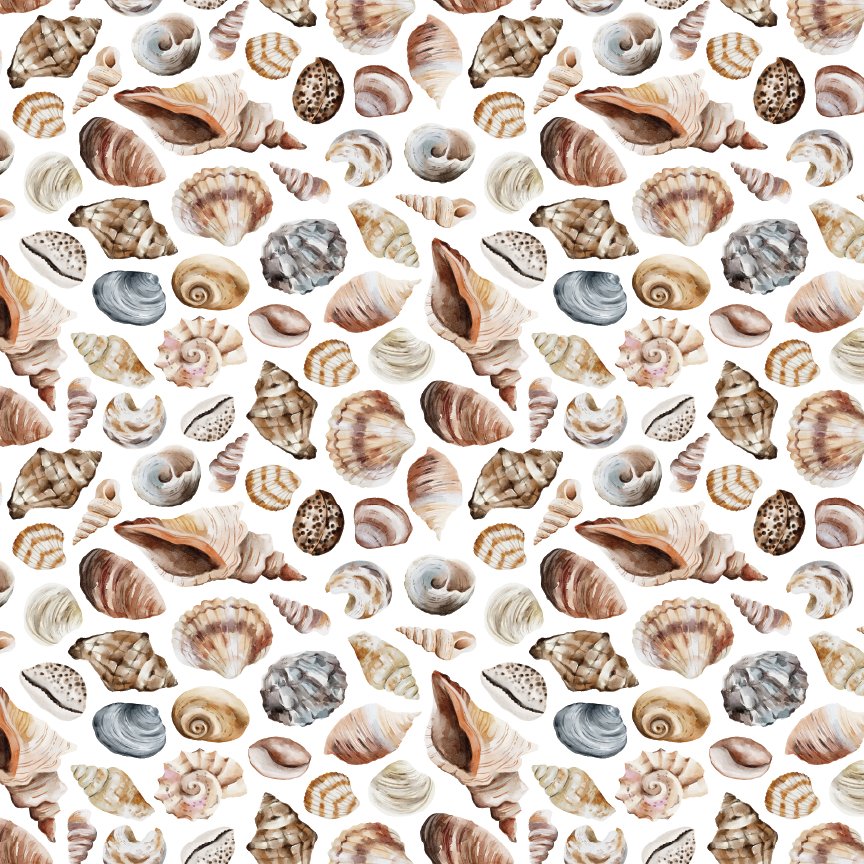 Realistic Seashells Pattern Acrylic Sheets - CMB Pattern Acrylic